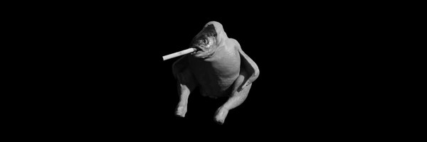 The Smoking Chicken Fish Token Header