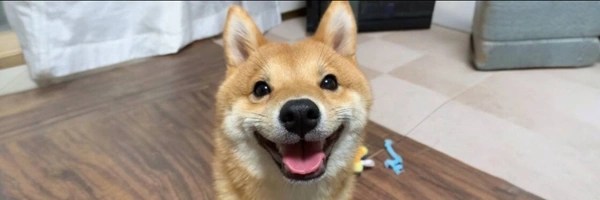 Just a Dog Token Header