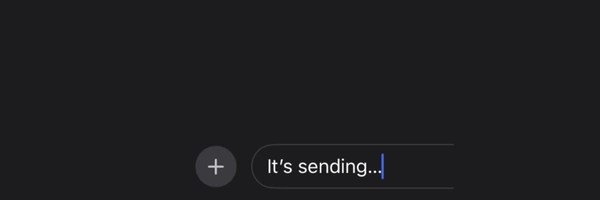 It's Sending Token Header