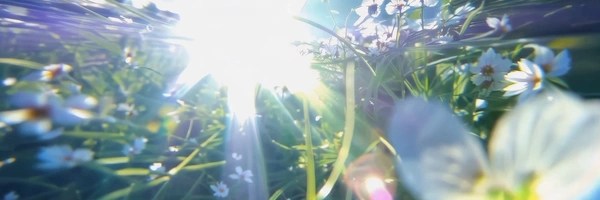 just a little guy Token Header