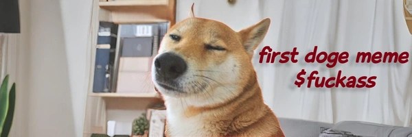 First Doge Meme Token Header