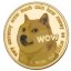 DOGECOIN ETF Icon