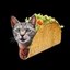 TACOCAT Icon