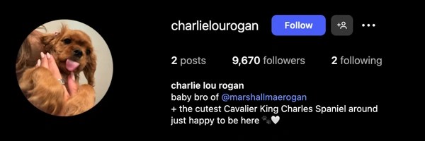Charlie Lou Rogan Token Header
