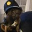 Useless Dog Icon