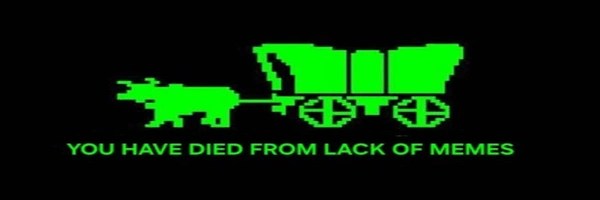 Lack Of Memes Token Header