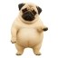 pug Icon