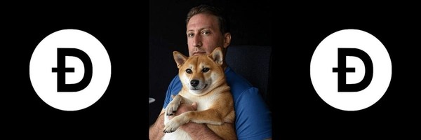 Doge Strategy Token Header