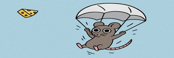 NIВZ Token Header