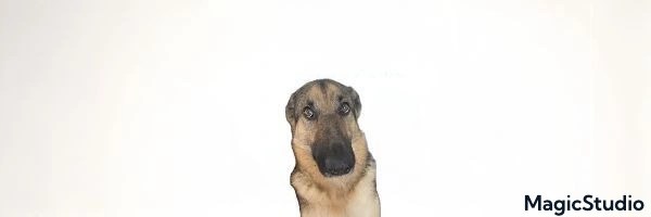 bestboybenson Token Header