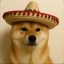 los Icon