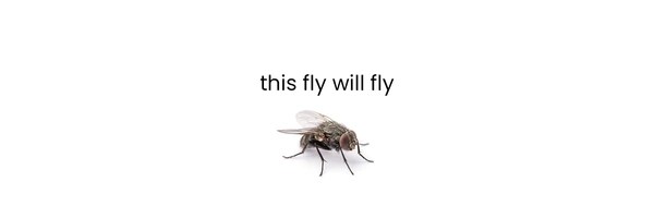 fly Token Header