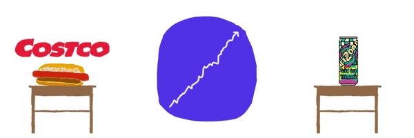 Steady Coin Token Header