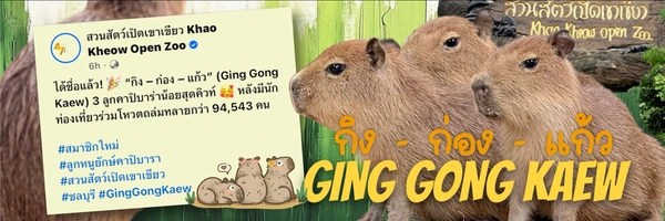 Ging Gong Kaew Token Header
