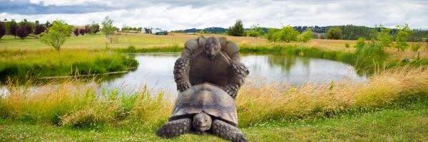 Freaky ahhh Tortoise Token Header