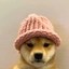 dog with hat Icon