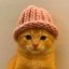 catwifhat Icon