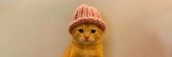 catwifhat Token Header