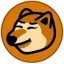 BonkCoin Icon