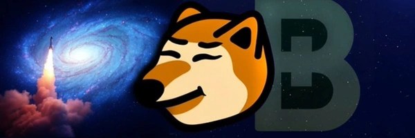 BonkCoin Token Header