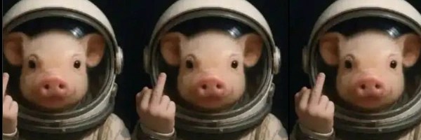 Official Moonpig Token Header