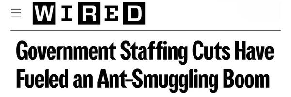 ant smuggling Token Header