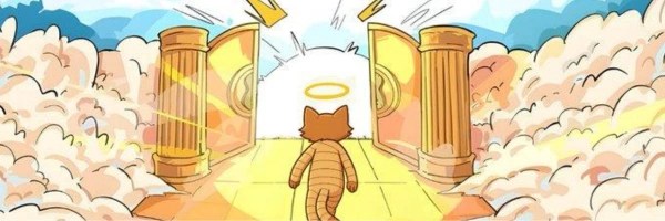 Panghu the Cat Token Header