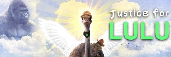 Lulu The Ostrich Token Header