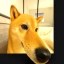 4Dog Icon