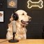 Unleashed Podcast Icon