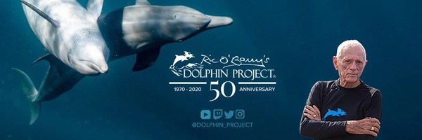 DOLPHIN PROJECT Token Header