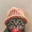KIT KAT WIF HAT Icon