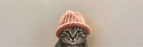 KIT KAT WIF HAT Token Header