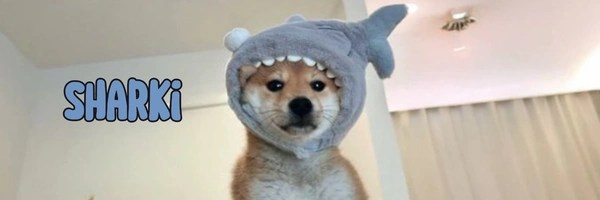 sharki Token Header