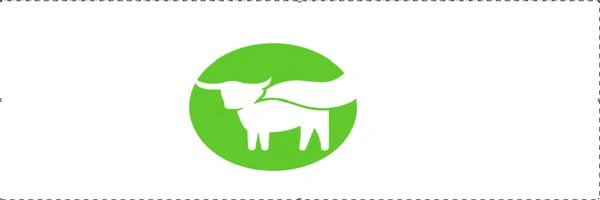 BEYOND MEAT INC Token Header