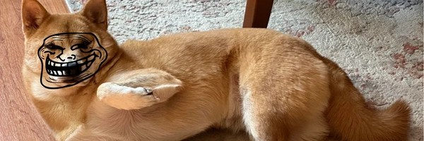 Trollface Doge Token Header