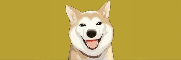  Neiro Token Header