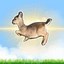 dwarf deer Icon