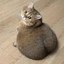 GYAT CAT Icon