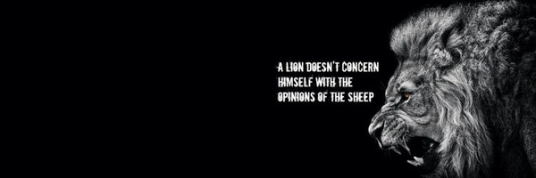 The Lion Token Header
