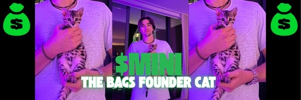 MINI Token Header