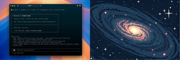 VibeKit CLI Token Header