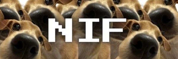 nif Token Header