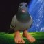pigeon Icon