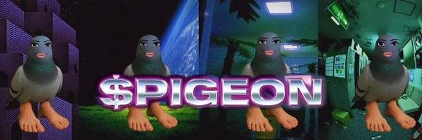 pigeon Token Header