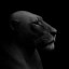 The Boldlion Icon