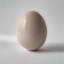 Just egg Icon