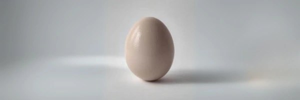 Just egg Token Header