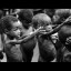FEED AFRICA Icon