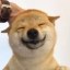 Doubao Icon